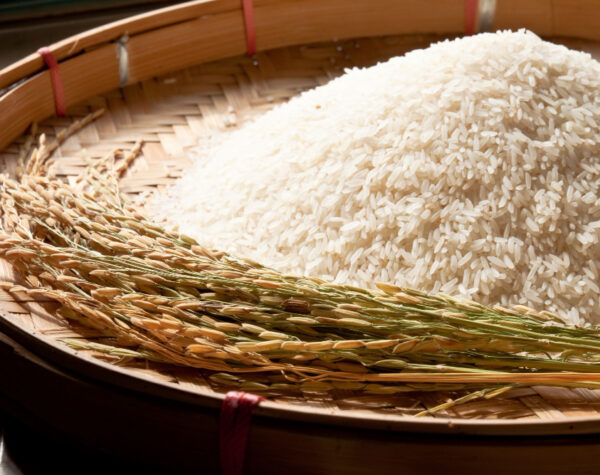 Beras IR 64 dan Bramu Naik Harga di Mojokerto, Simak Datanya