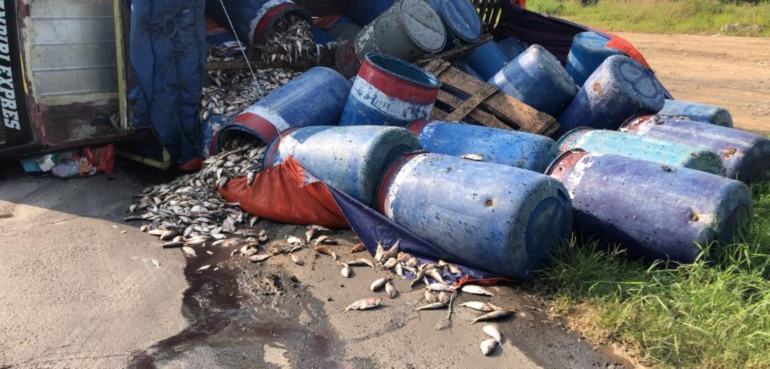 Kondisi truk yang terguling di Jalan Raya Alternatif Ngoro - Pungging, Desa Purwojaji, Kecamatan Ngoro, Kabupaten Mojokerto, Jumat (2/5/2025) pagi (Redaksi / Kabarterdepan.com) 