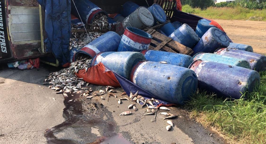 Kondisi truk yang terguling di Jalan Raya Alternatif Ngoro - Pungging, Desa Purwojaji, Kecamatan Ngoro, Kabupaten Mojokerto, Jumat (2/5/2025) pagi (Redaksi / Kabarterdepan.com) 