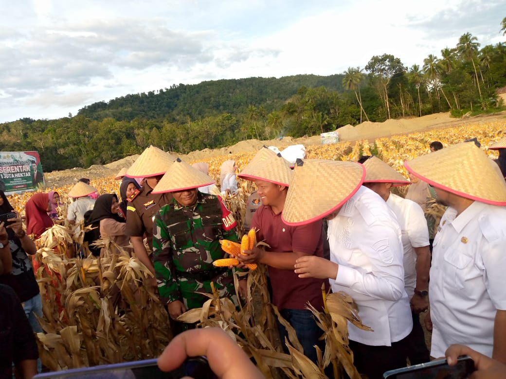 IMG 20250514 WA0113 1 IMG 20250514 WA0113