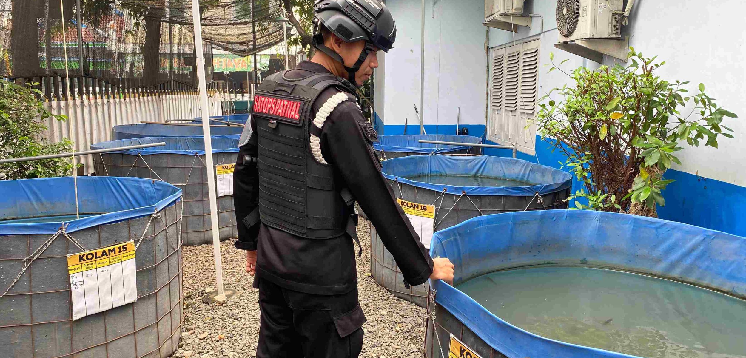 IMG 20250529 WA0005 11zon