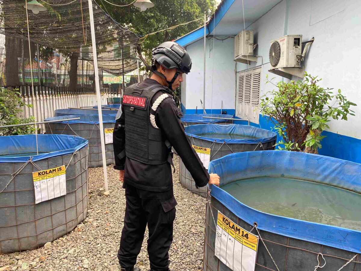 IMG 20250529 WA0005 11zon