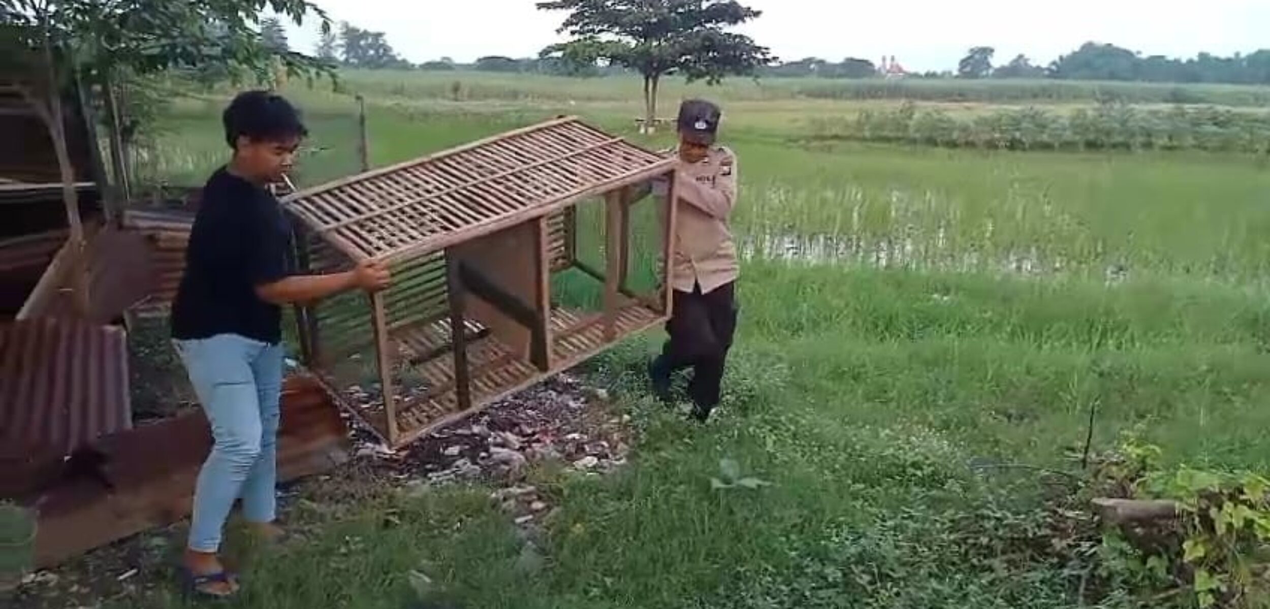 Polisi saat membongkar kandang ayam yang digunakan untuk sabung ayam di Mojokerto (Redaksi / Kabarterdepan.com)