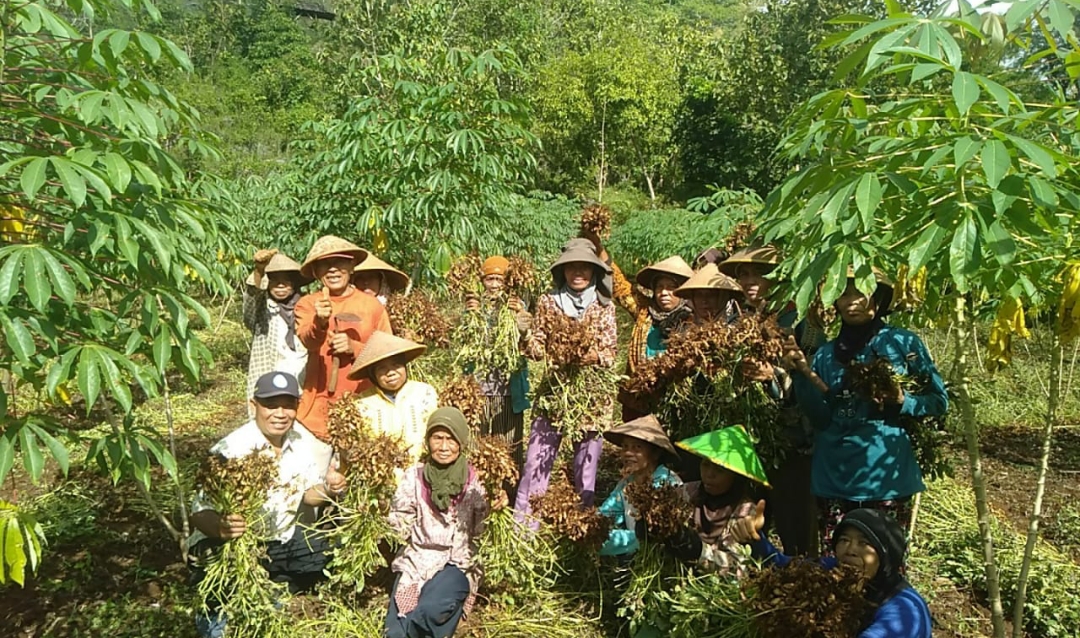 Screenshot 20250513 183543 1 1 Screenshot 20250513 183543 1