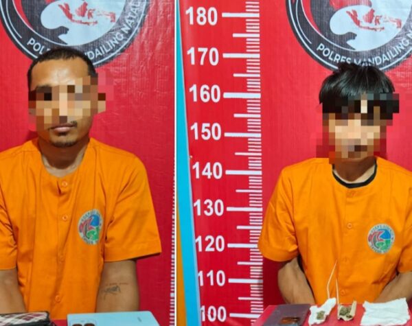 Edarkan Sabu dan Ganja, 2 Pria di Sinunukan Madina Berurusan dengan Polisi