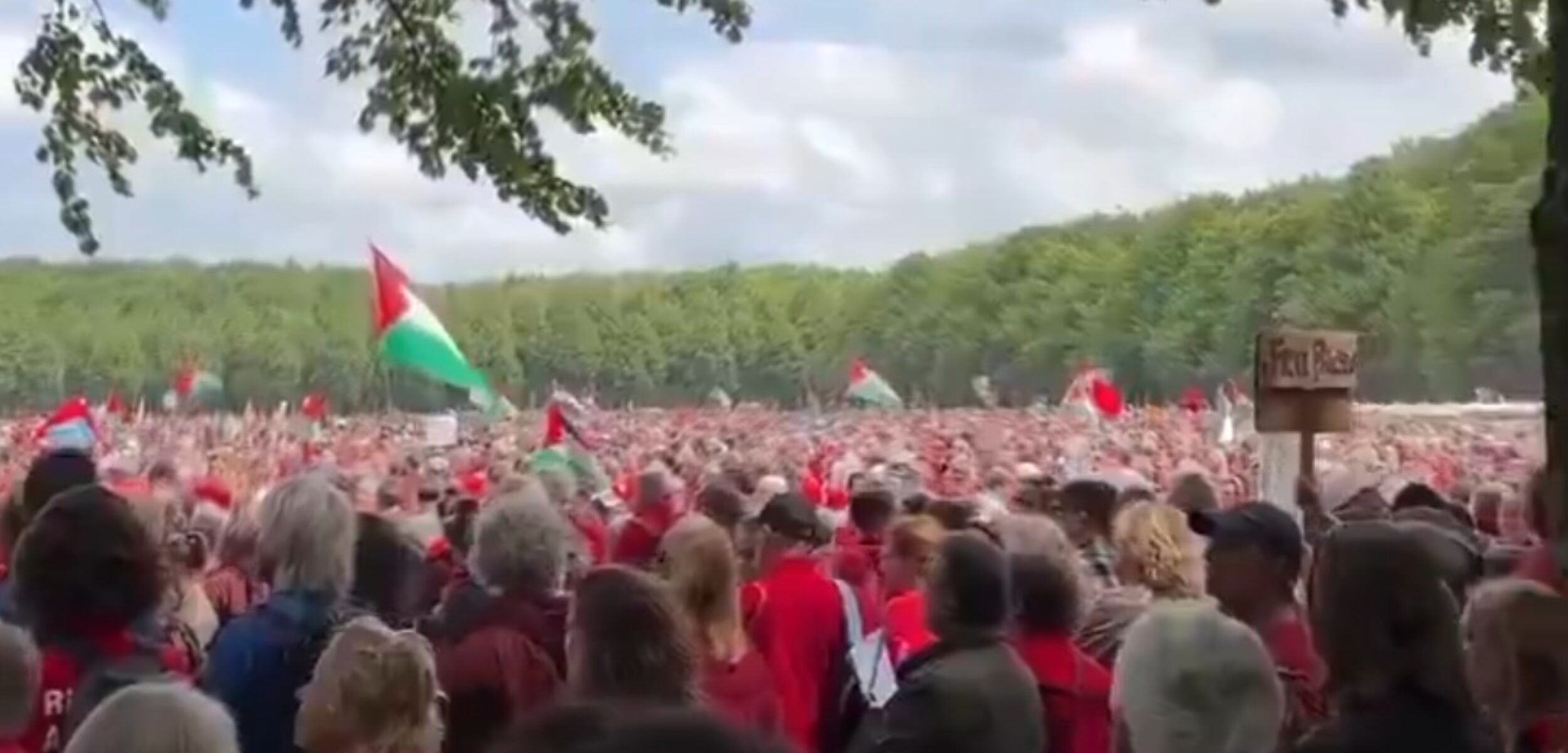 Screenshot 20250520 165354 X