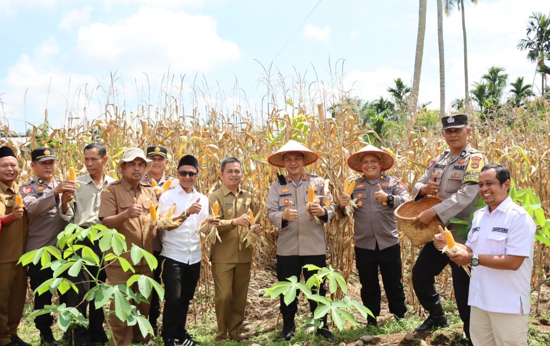 Screenshot 20250521 190320