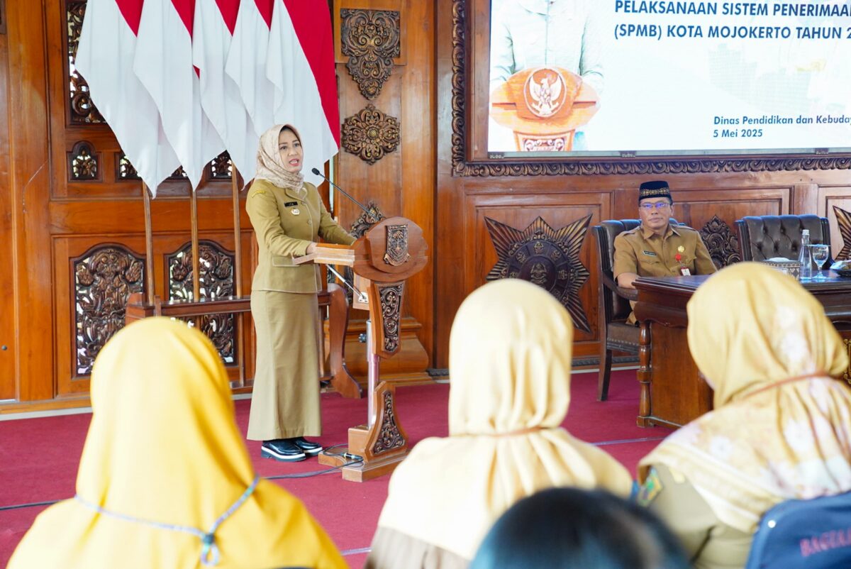 WhatsApp Image 2025 05 05 at 2.52.46 PM