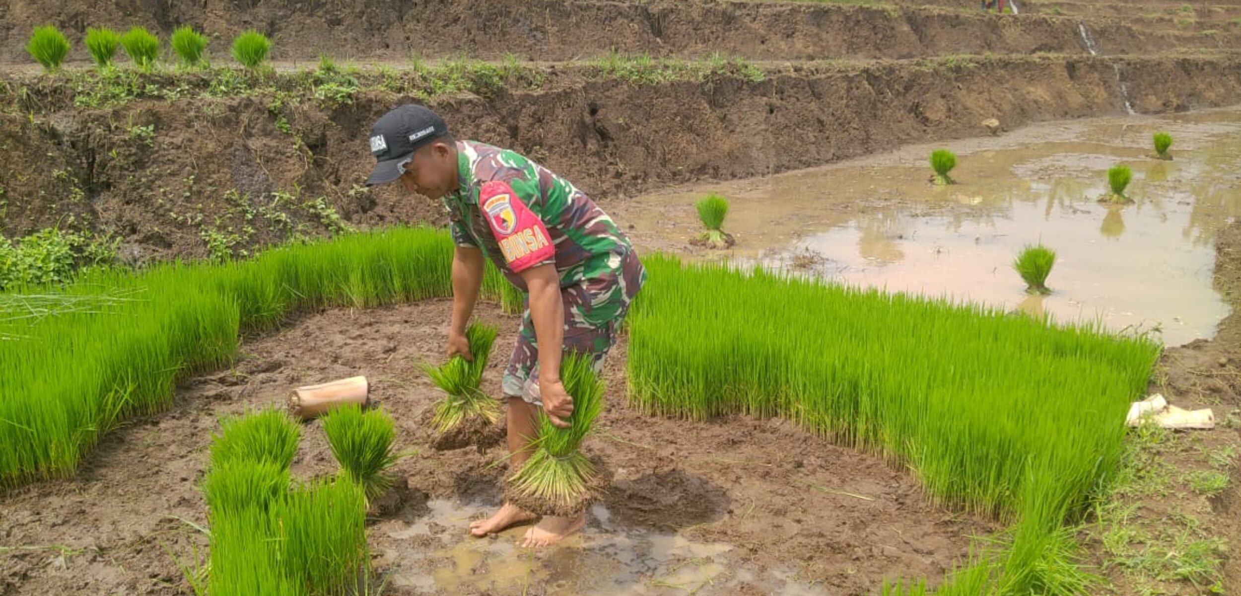 WhatsApp Image 2025 05 08 at 2.42.00 PM