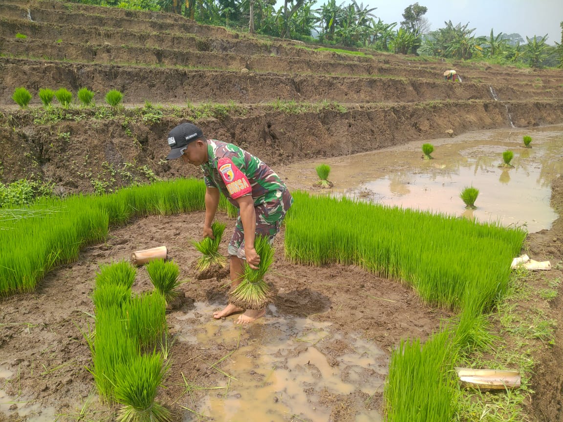 WhatsApp Image 2025 05 08 at 2.42.00 PM