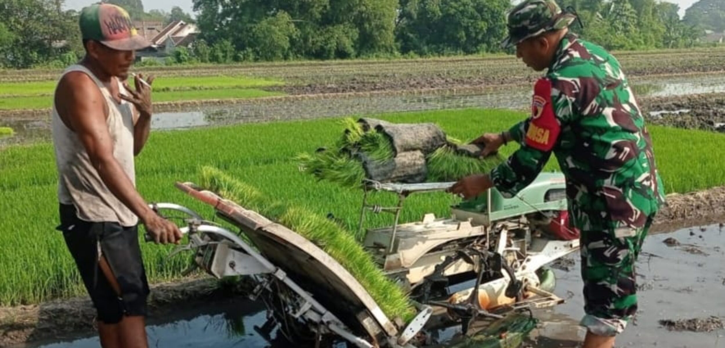 WhatsApp Image 2025 05 16 at 1.39.54 PM