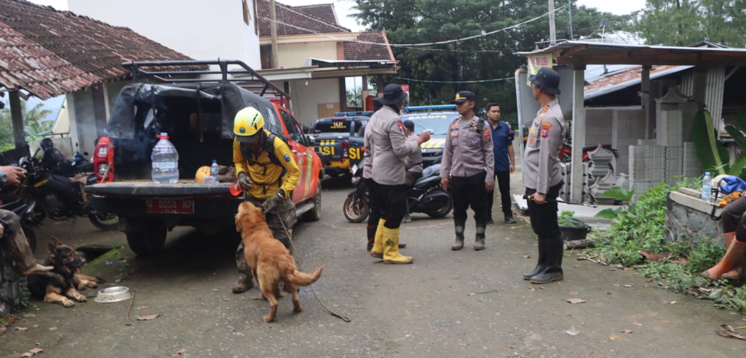 WhatsApp Image 2025 05 21 at 3.26.01 PM