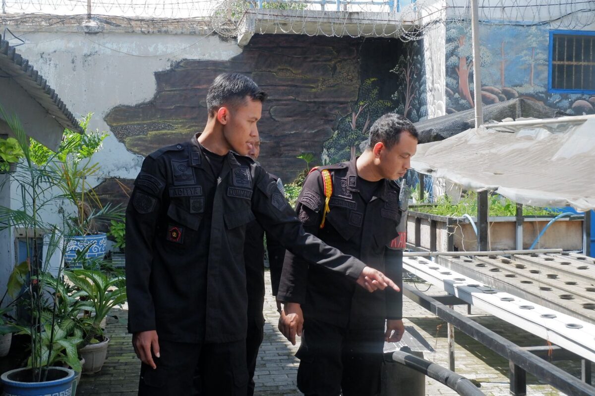 WhatsApp Image 2025 05 25 at 11.58.09 AM