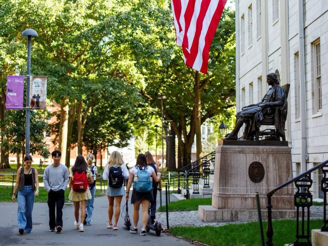 WhatsApp Image 2025 05 26 at 09.47.48 fad33fb1