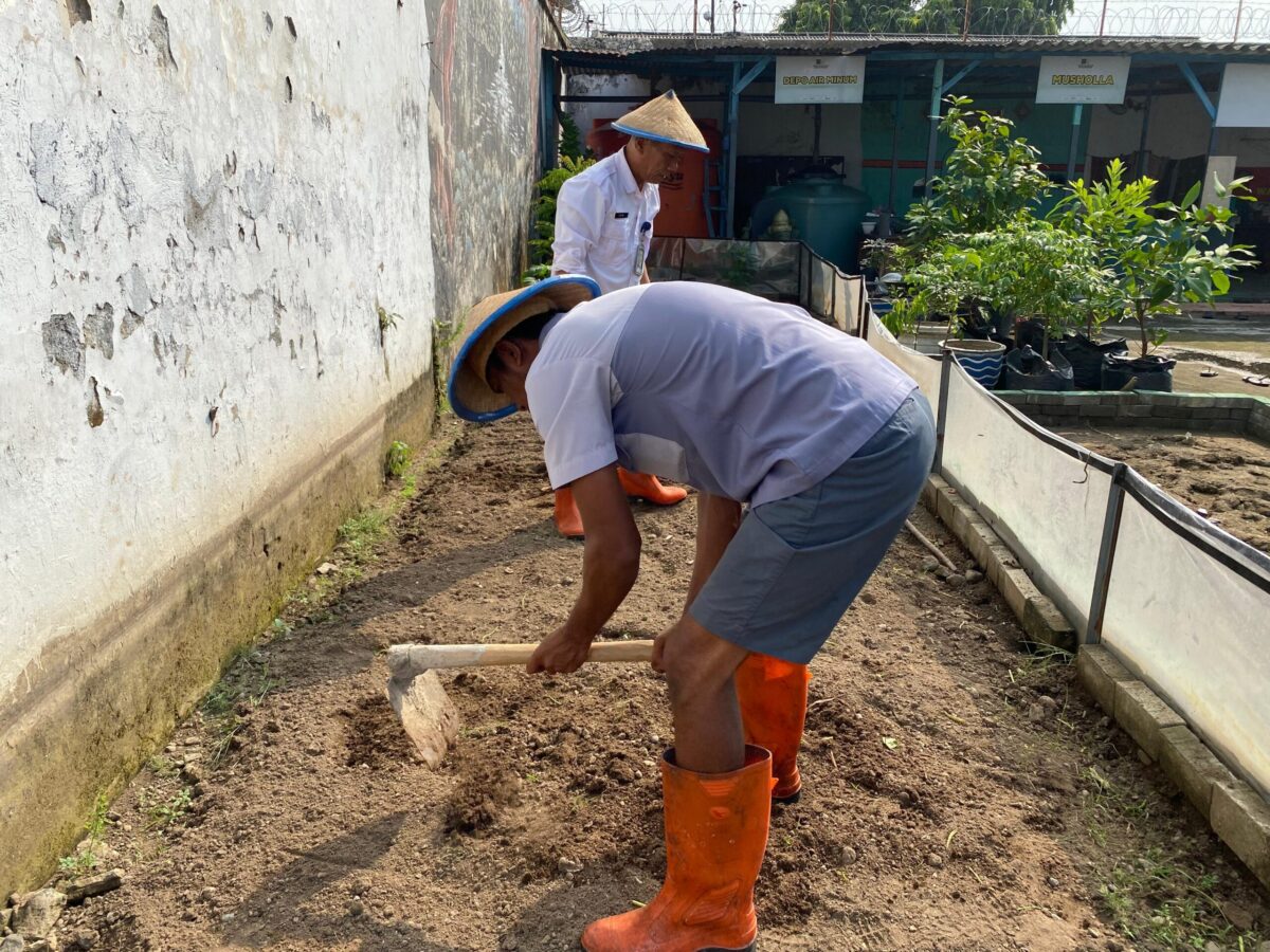 WhatsApp Image 2025 05 28 at 4.21.00 PM 1