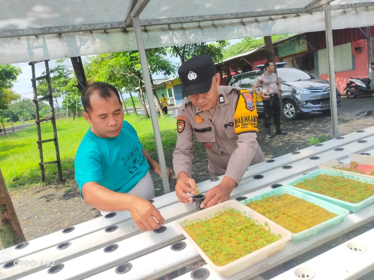 WhatsApp Image 2025 05 31 at 4.47.16 PM