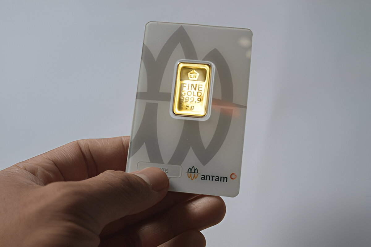 steptodown.com445590