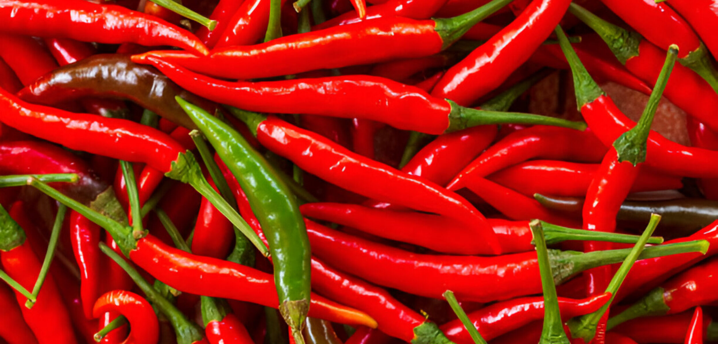 Harga Cabai Merah Merangkak Naik di Mojokerto, Simak Daftar Lengkapnya