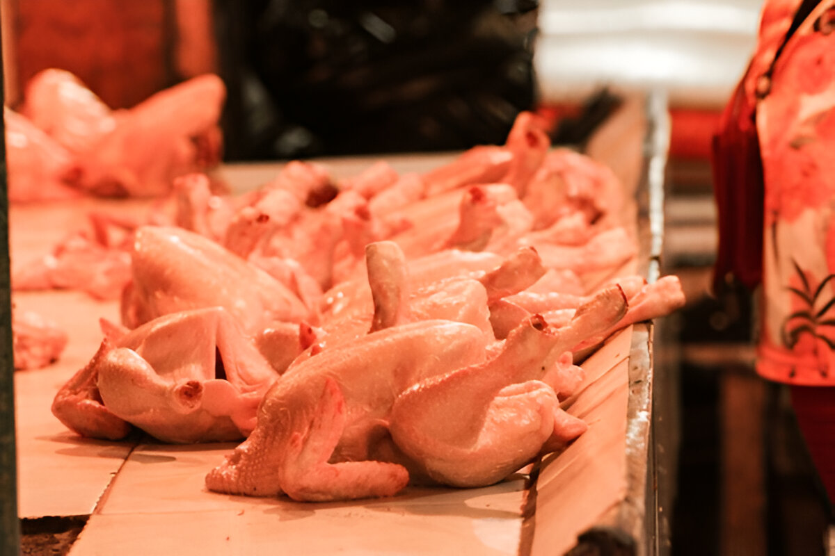 steptodown.com596960