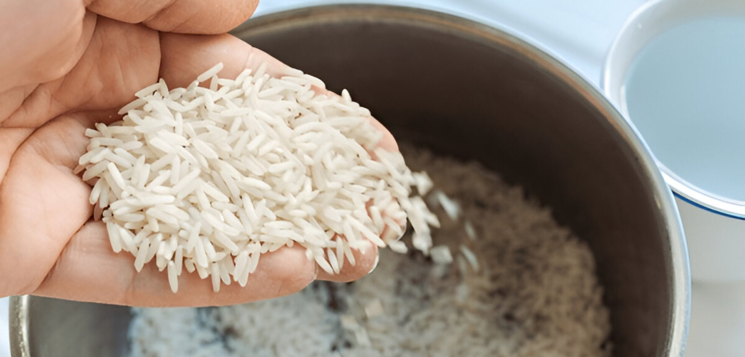 steptodown.com807861 1 steptodown.com807861