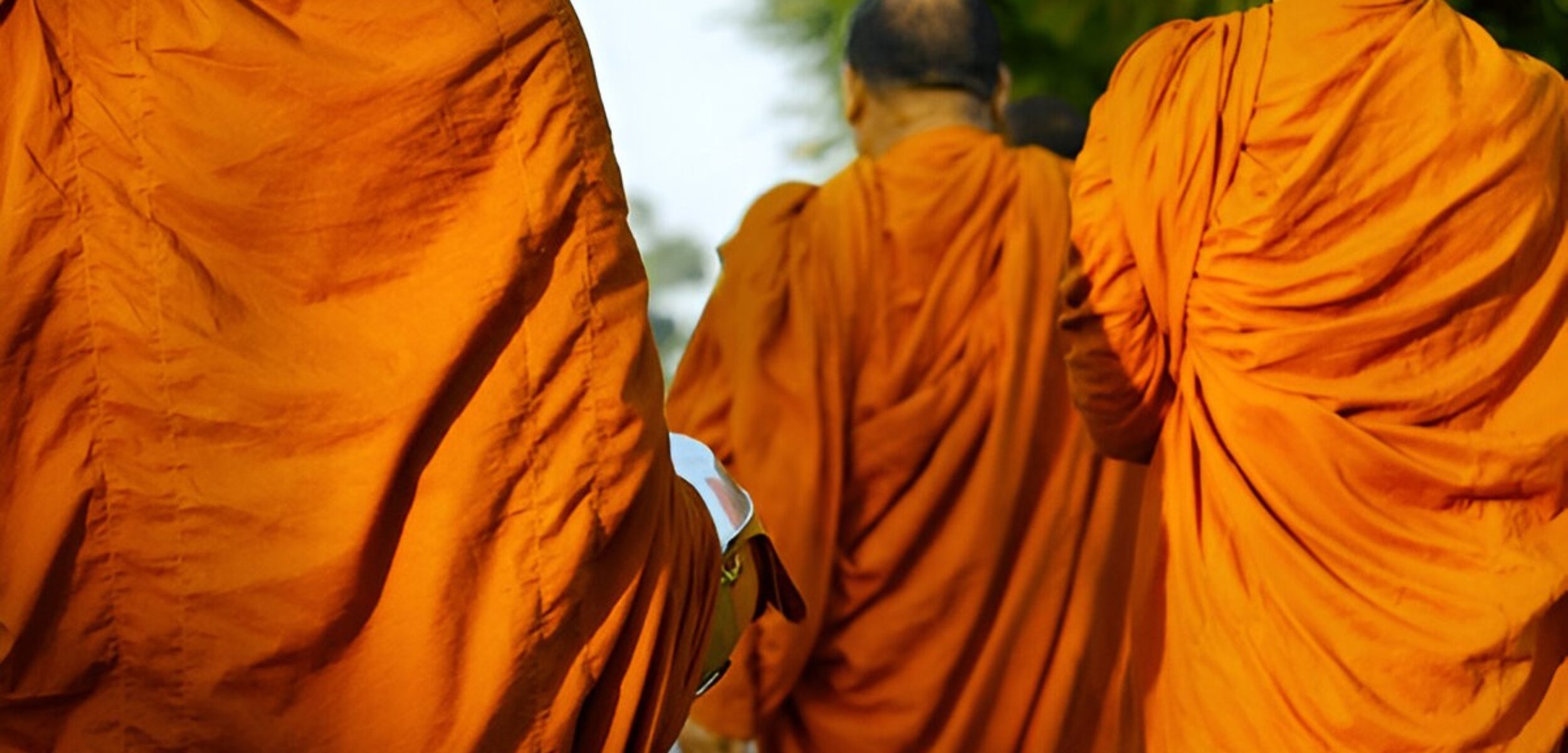 steptodown.com825393