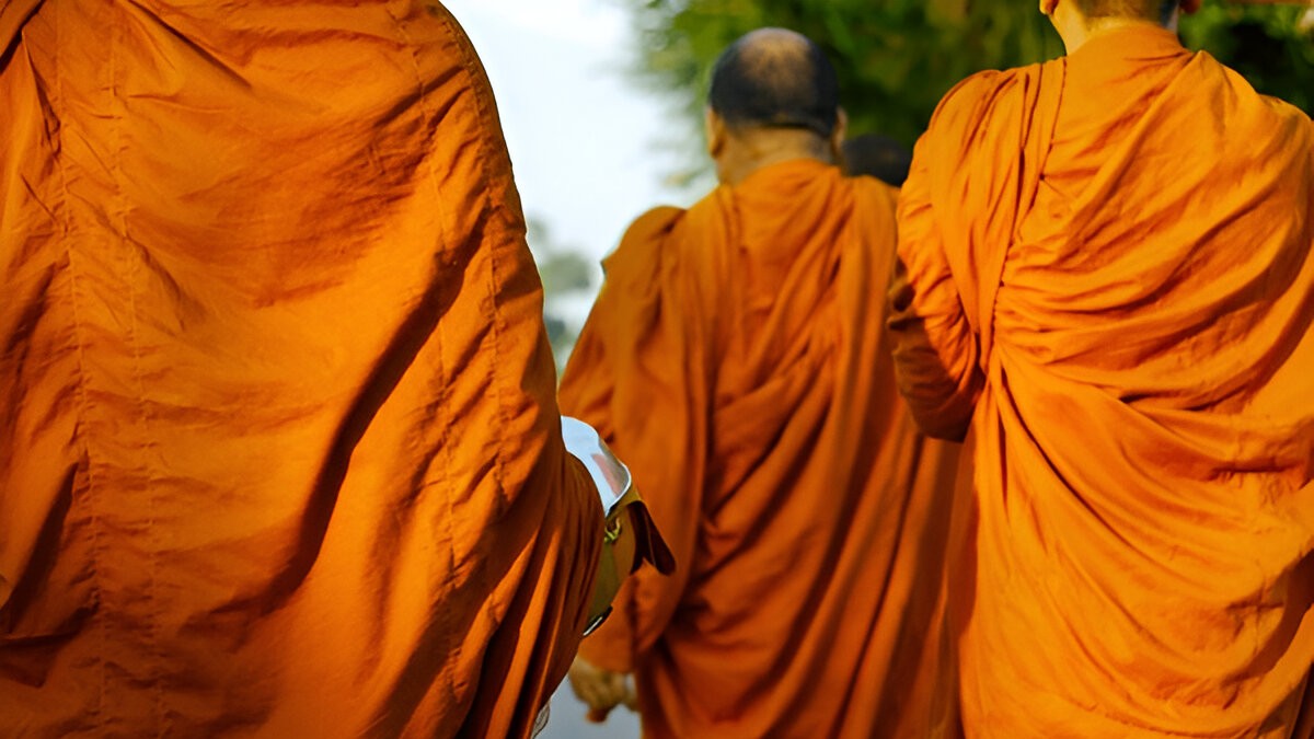 steptodown.com825393