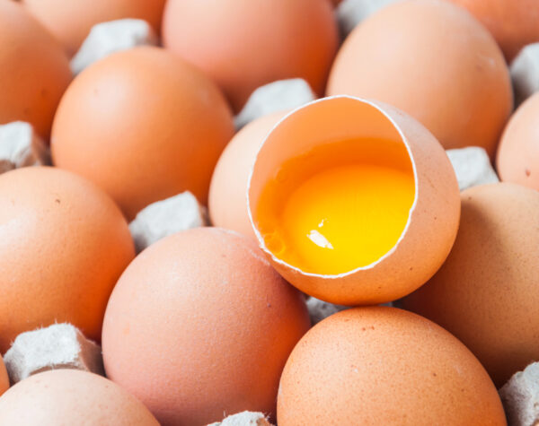 Harga Telur Ayam Kampung Jawa Timur Akhir Bulan, Tertinggi di Sidoarjo