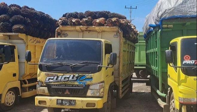 IMG 20250602 WA0216 1 IMG 20250602 WA0216