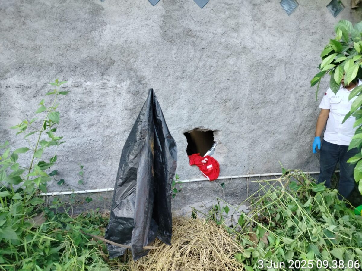 IMG 20250604 WA0061 1 IMG 20250604 WA0061