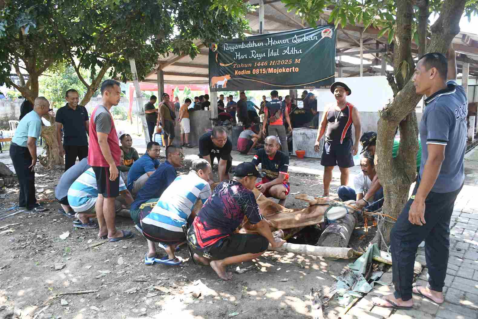 IMG 20250607 WA0004 11zon