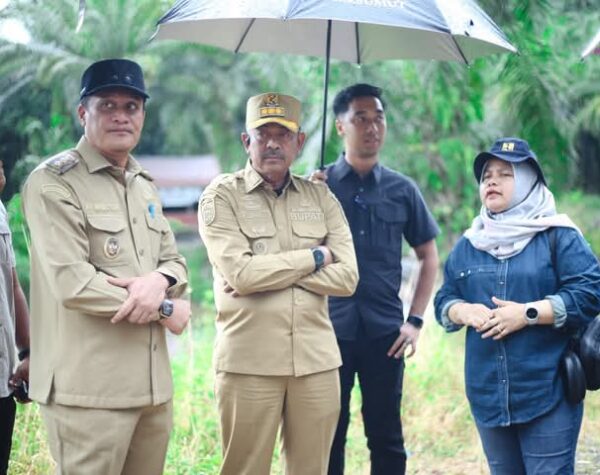 Rencana Pembukaan Ruas Jalan Penghubung Dua Kabupaten, Jarak Tempuh Madina-Palas Bakal 2 Jam