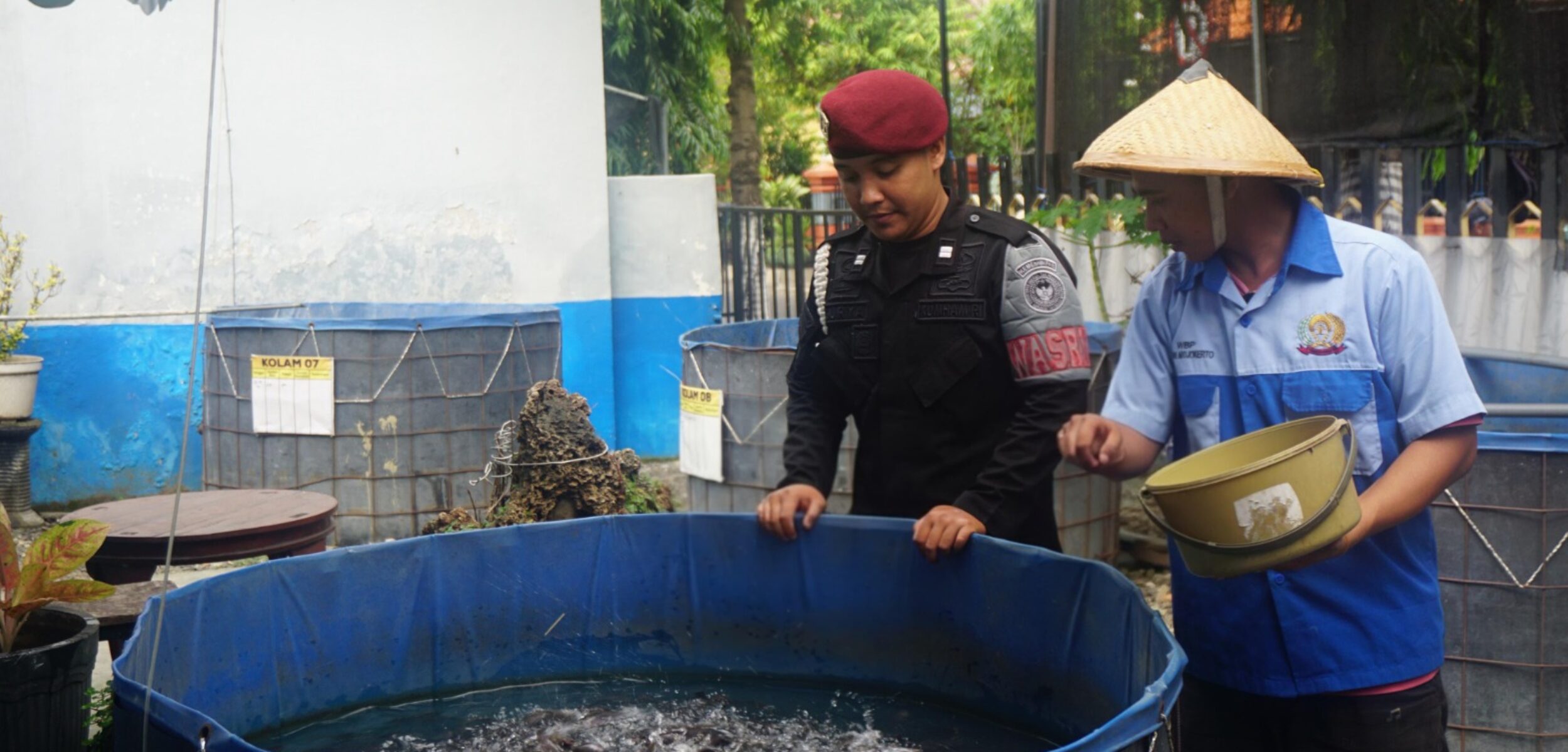 IMG 20250629 WA0018 1