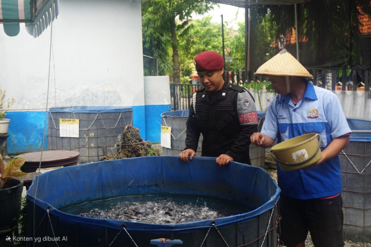 IMG 20250629 WA0018 1