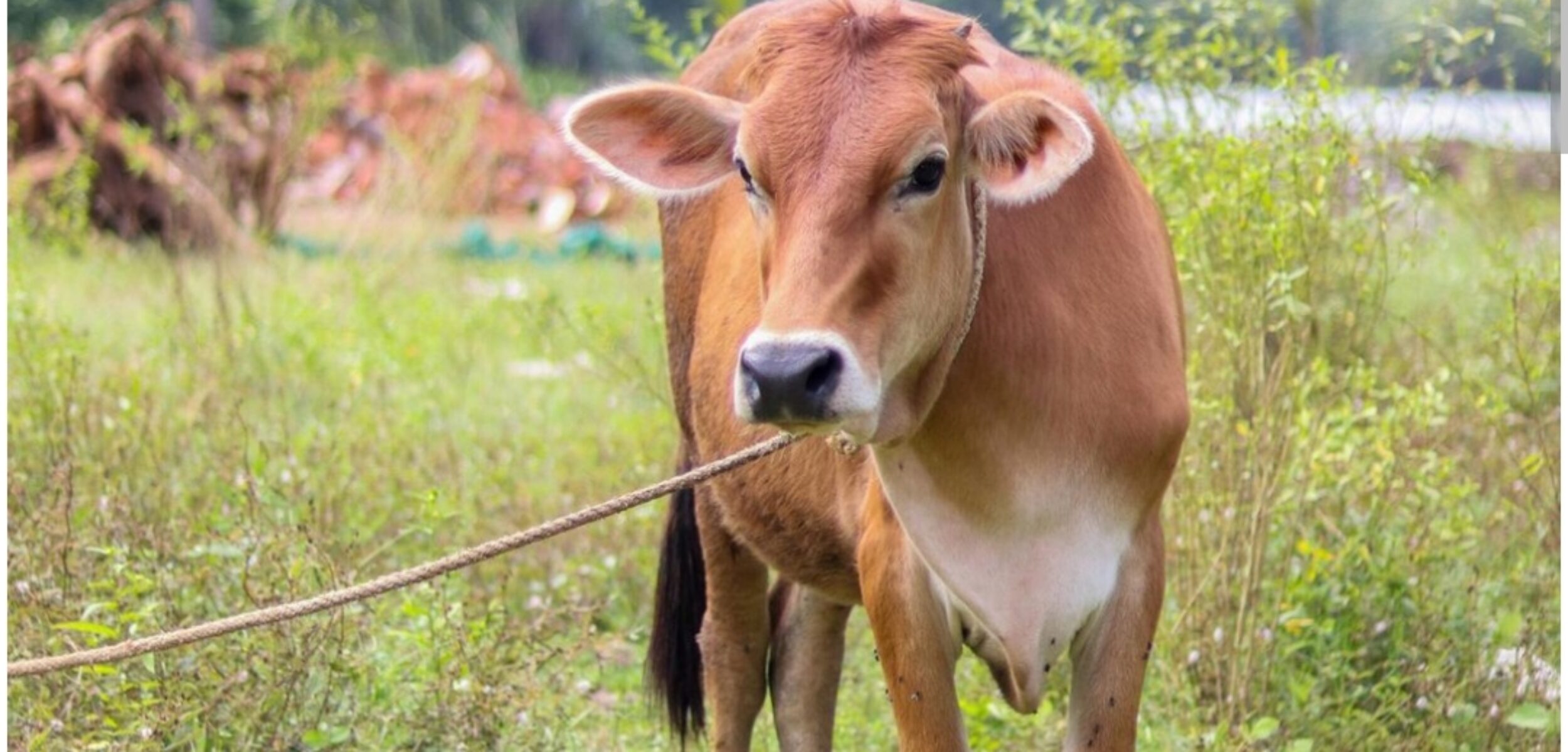 Screenshot 20250607 202559