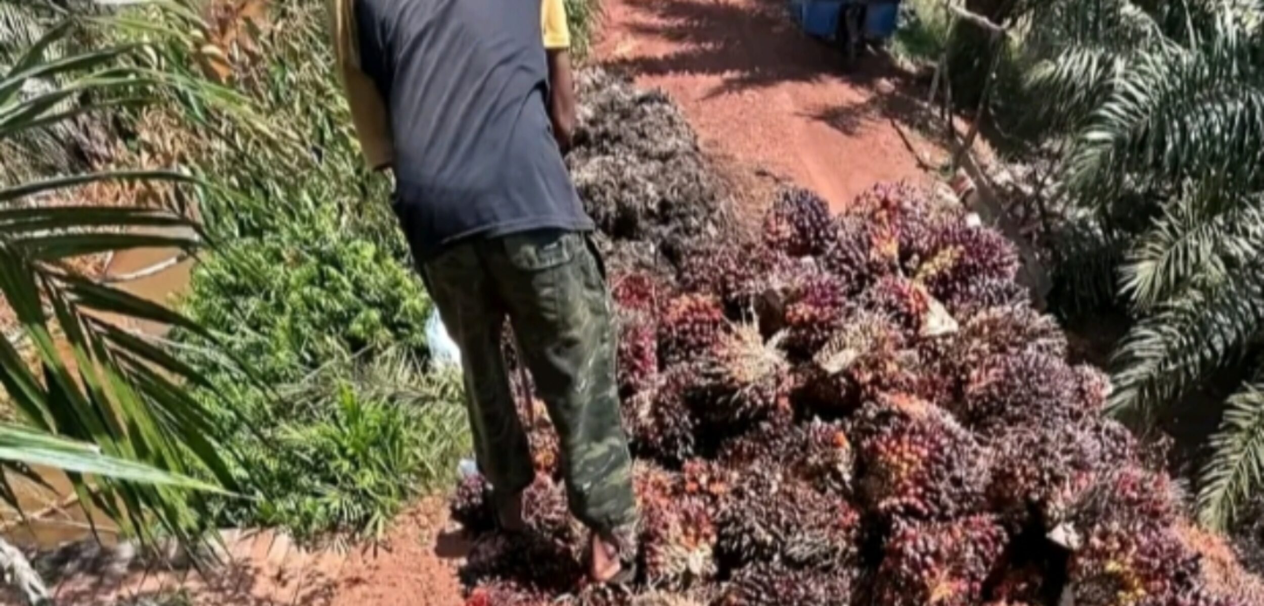 Screenshot 20250613 052228