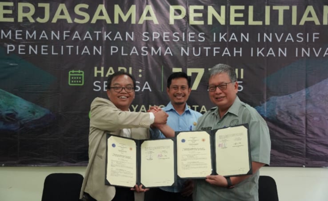 Screenshot 20250618 113101