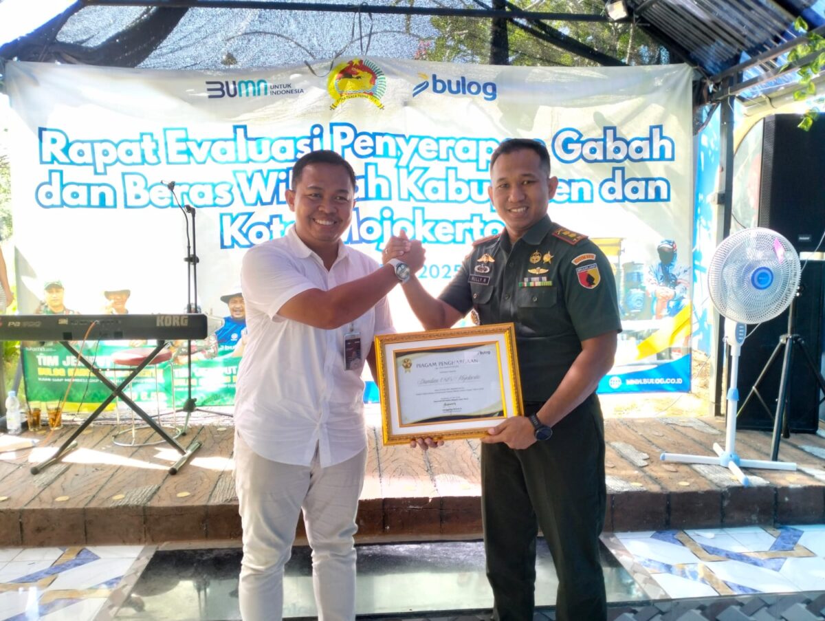 WhatsApp Image 2025 06 03 at 17.59.33 20bcb8b5 1 WhatsApp Image 2025 06 03 at 17.59.33 20bcb8b5