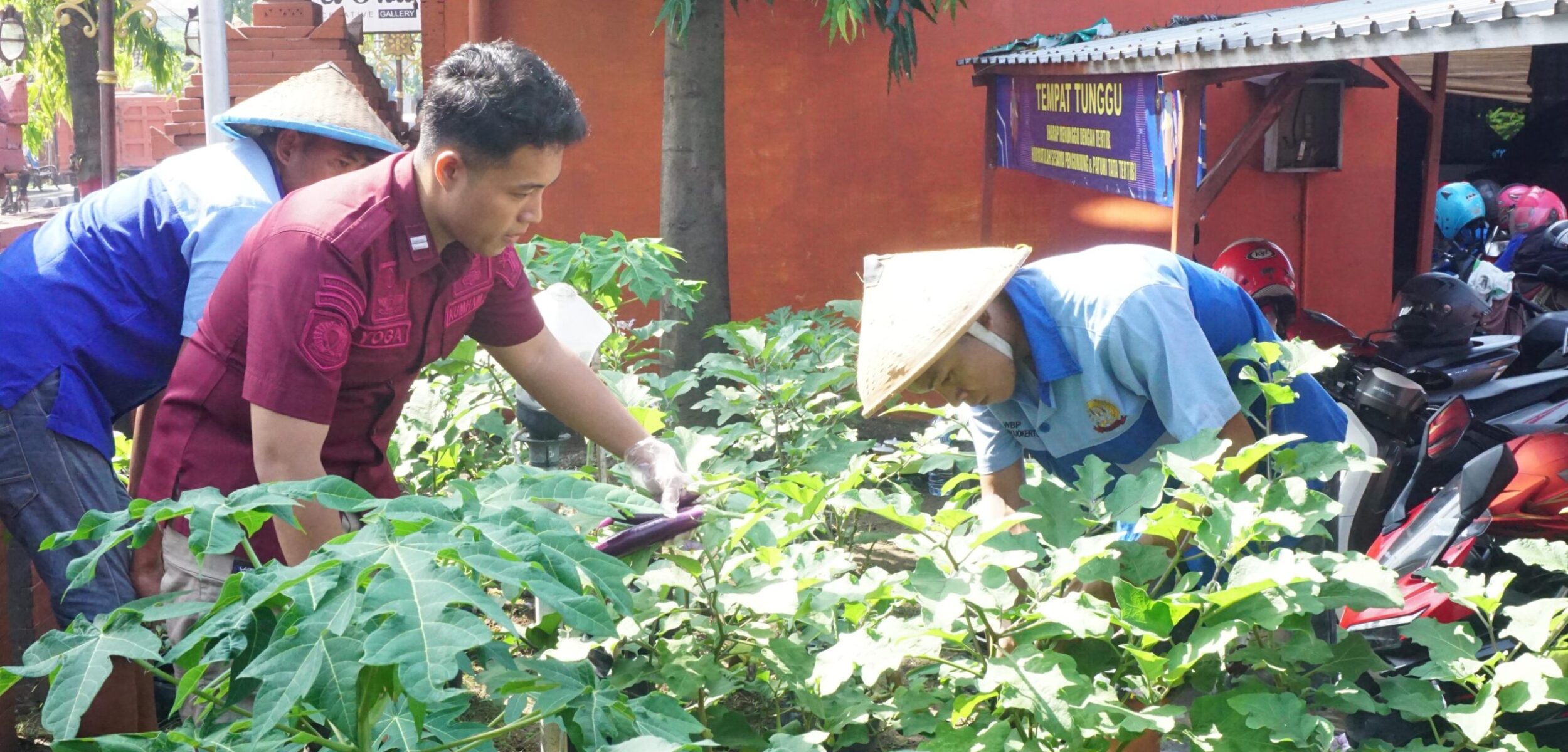 WhatsApp Image 2025 06 12 at 3.07.05 PM 1 WhatsApp Image 2025 06 12 at 3.07.05 PM