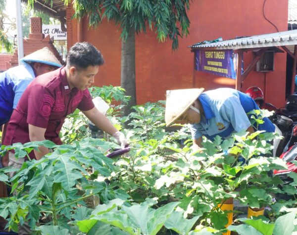 Panen Terong di Lapas Mojokerto, Bukti Nyata Dukungan Ketahanan Pangan Nasional