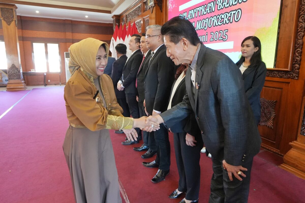 WhatsApp Image 2025 06 12 at 3.44.08 PM