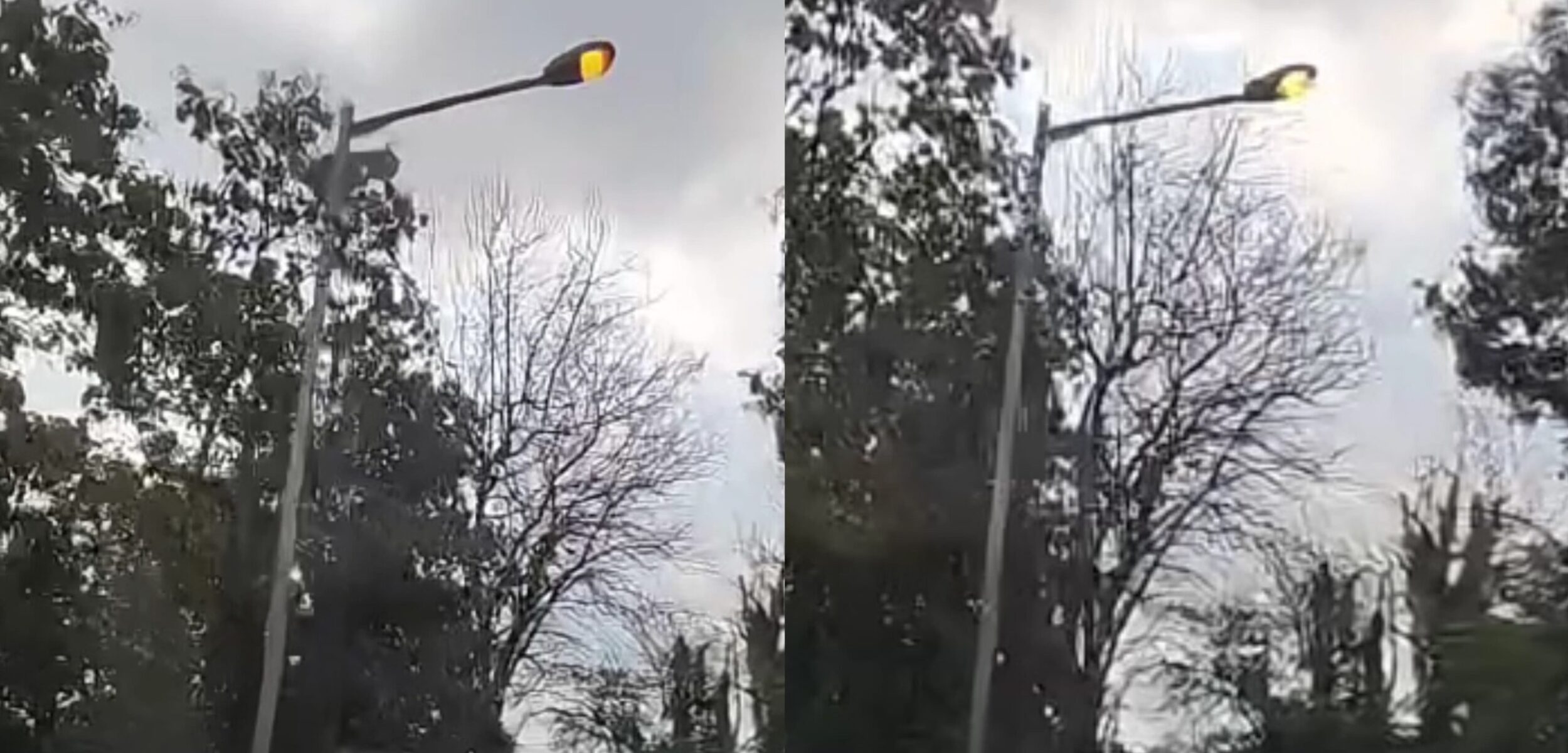 WhatsApp Image 2025 06 17 at 15.29.24 98875063