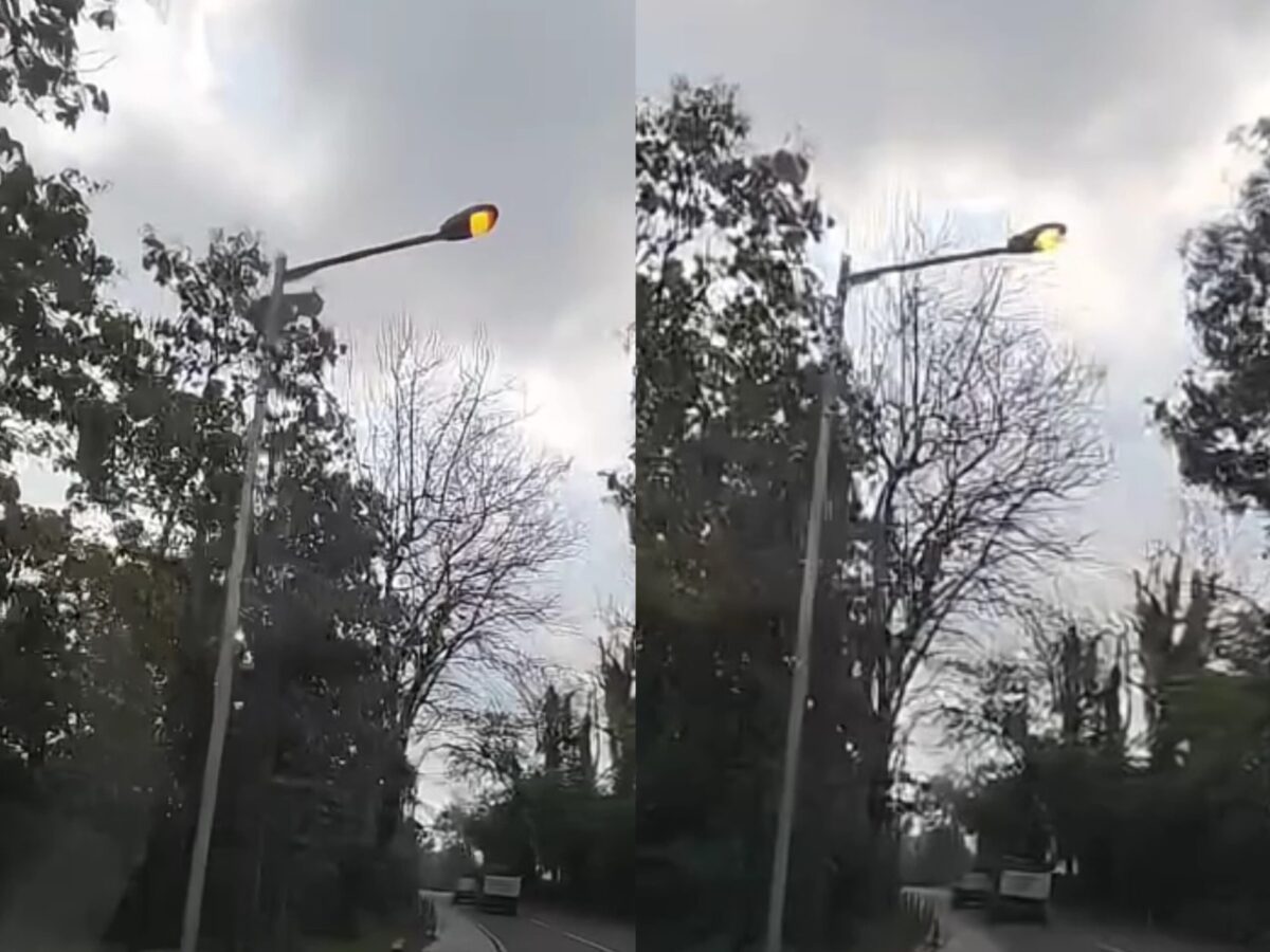 WhatsApp Image 2025 06 17 at 15.29.24 98875063