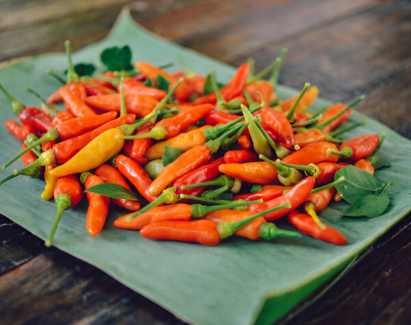 Harga Cabai Rawit Semakin Pedas, Kenaikan Capai 17 Persen Hari Ini