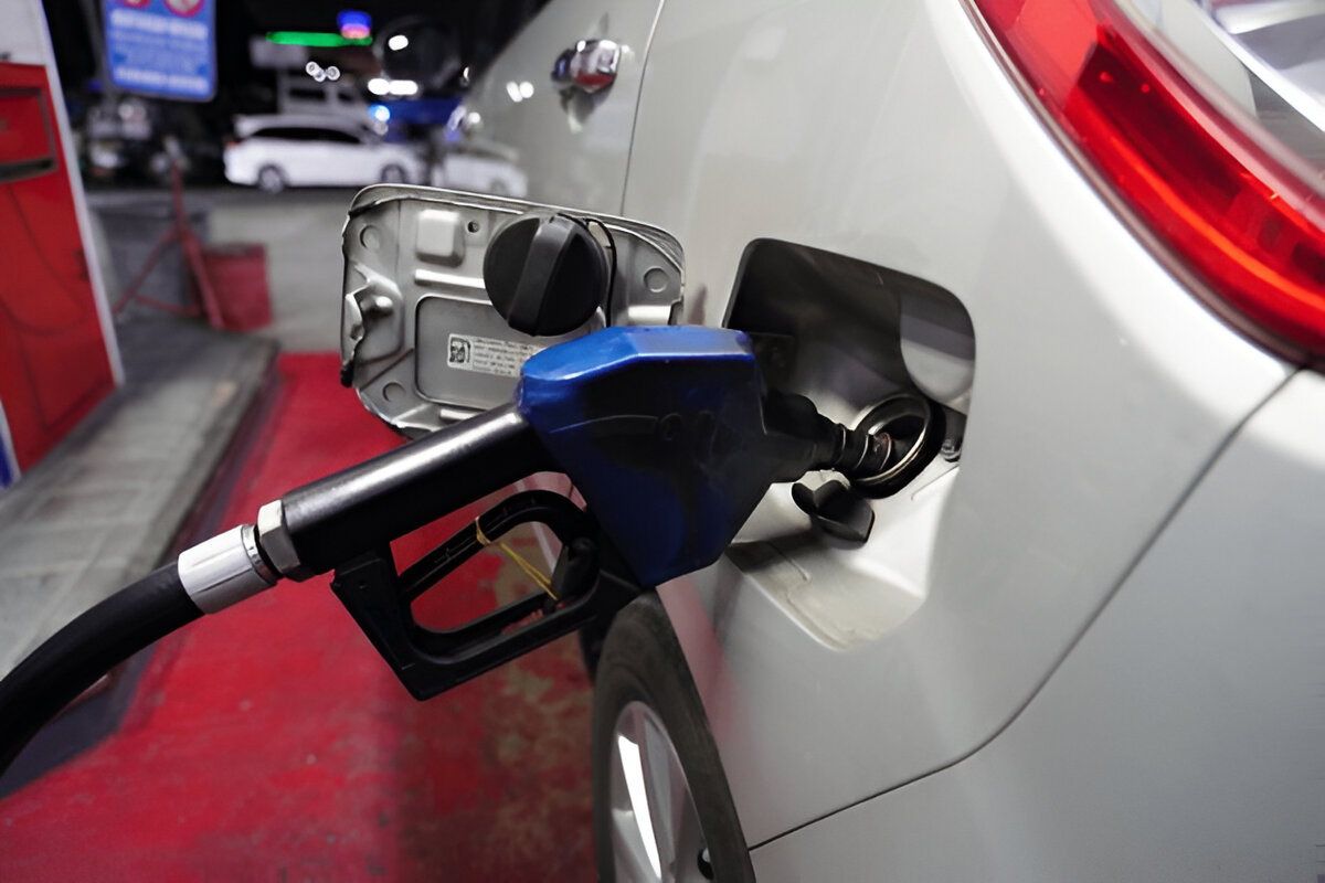 steptodown.com634330