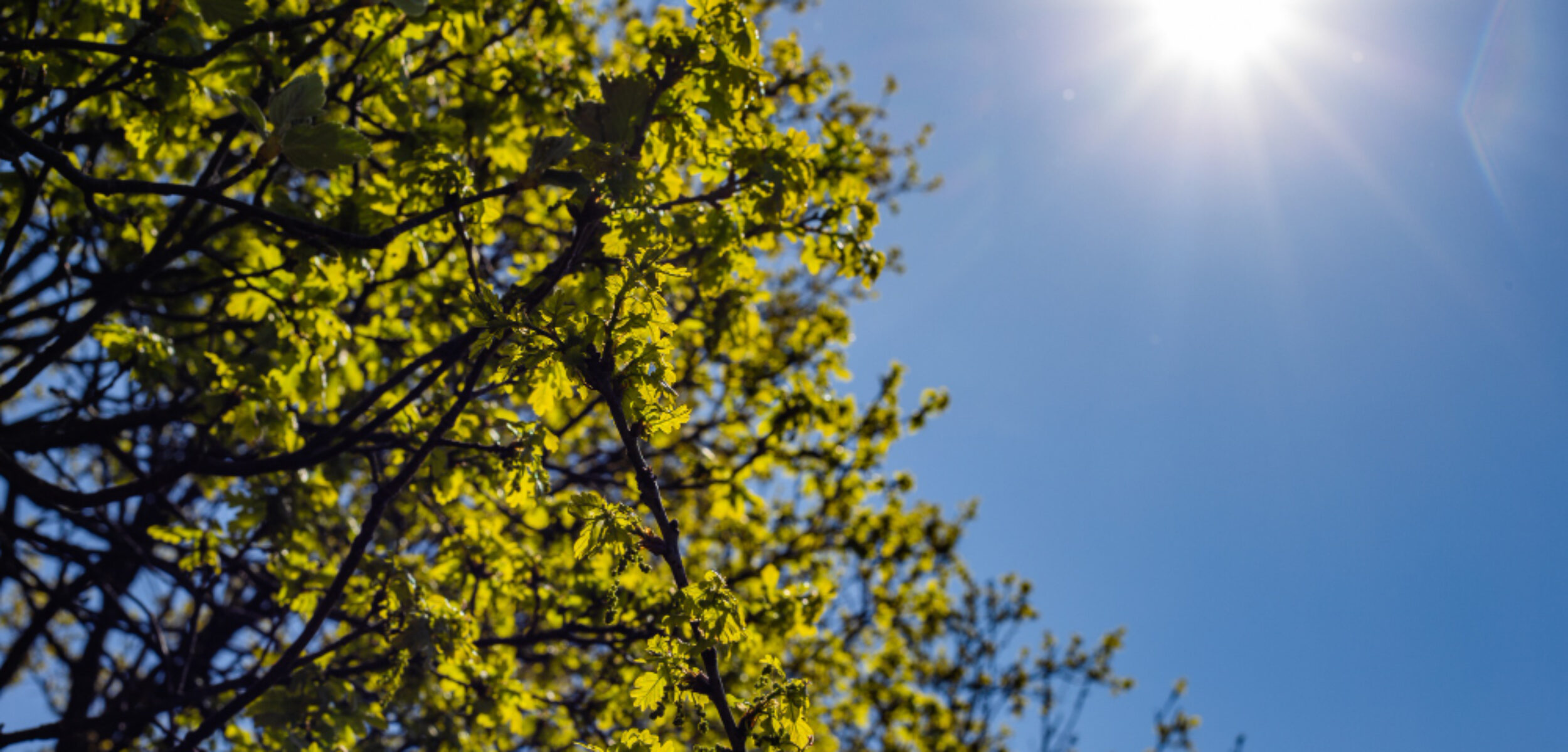 Ilustrasi cuaca cerah.