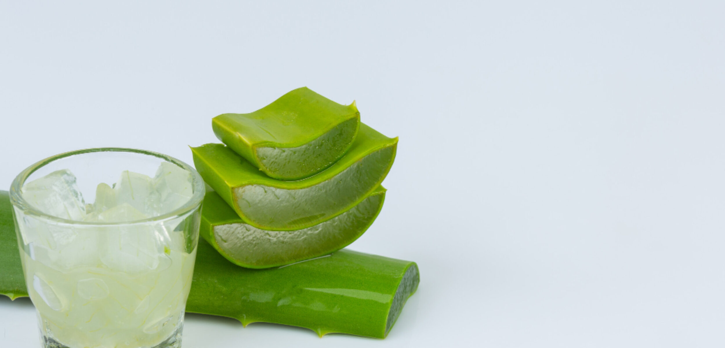 Ilustrasi lidah buaya atau aloe vera.