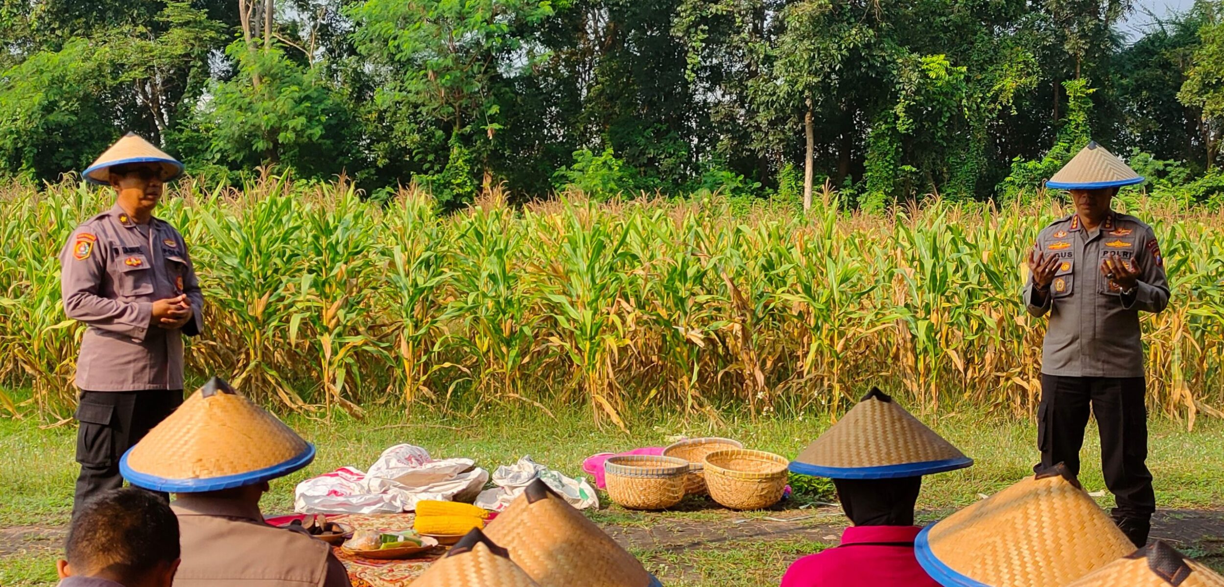 SPN Polda Jatim Panen Raya Jagung, Dorong Ketahanan Pangan Asta Cita