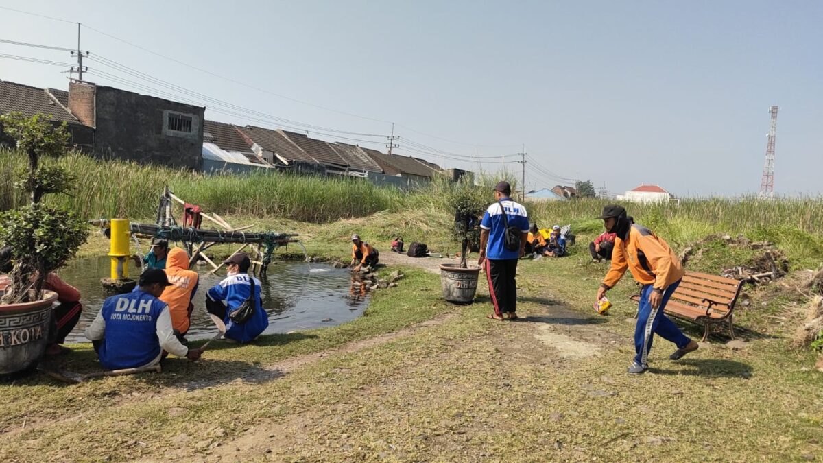 IMG 20250711 WA0021 1 IMG 20250711 WA0021