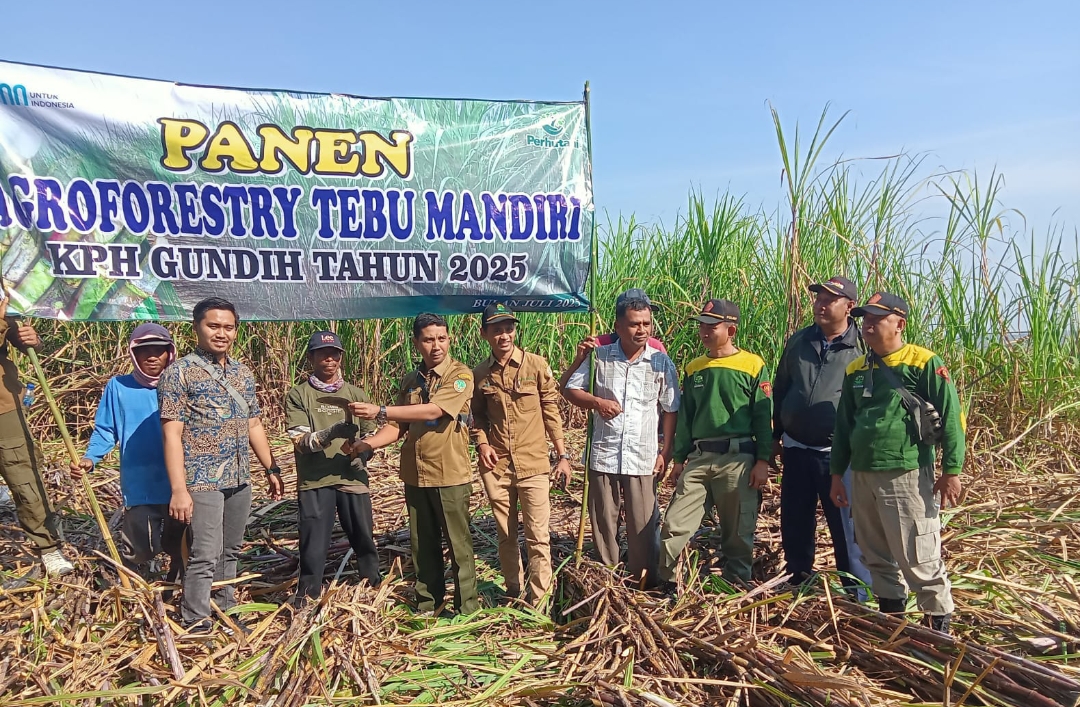 Screenshot 20250717 201143