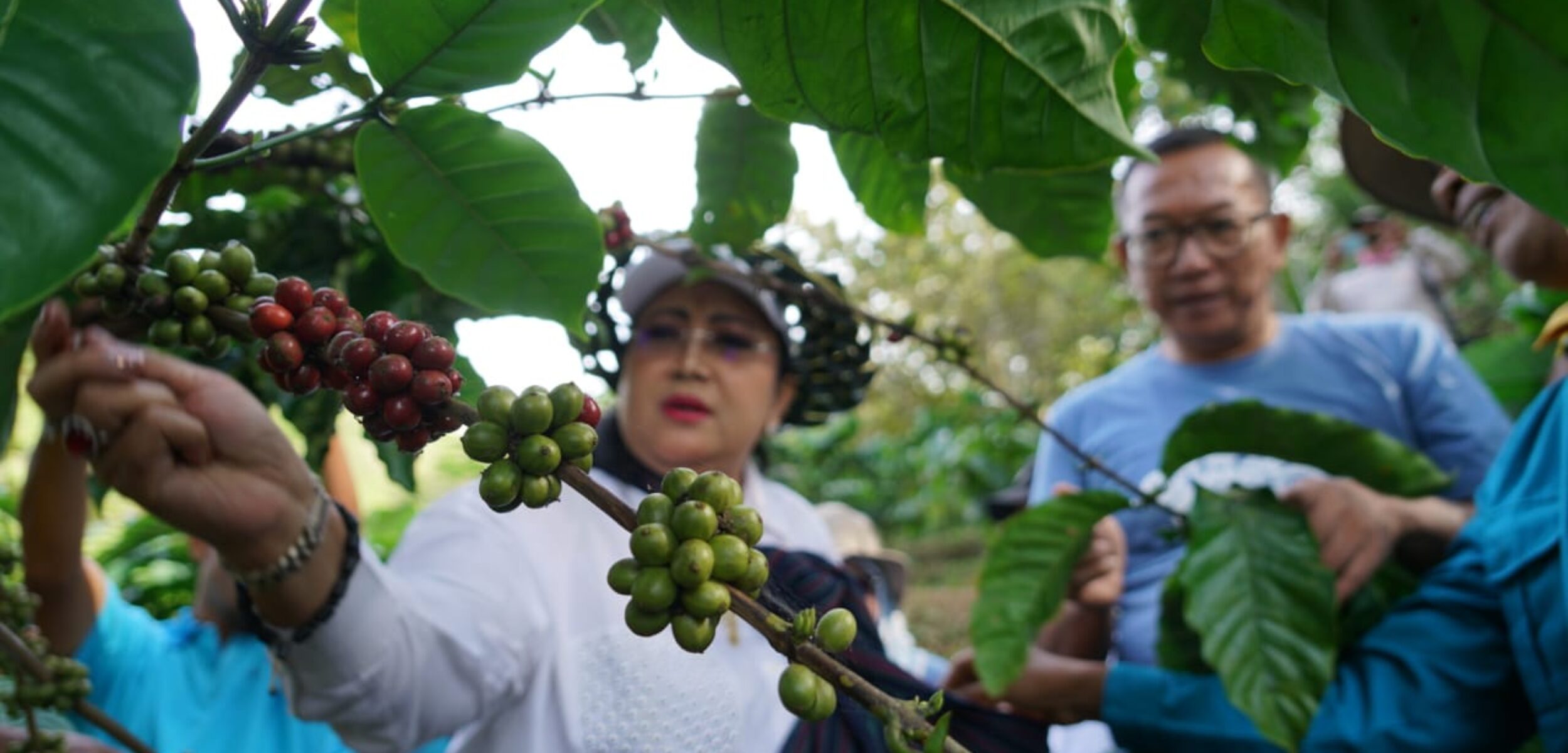 WhatsApp Image 2025 07 05 at 17.45.53 6ed339c6